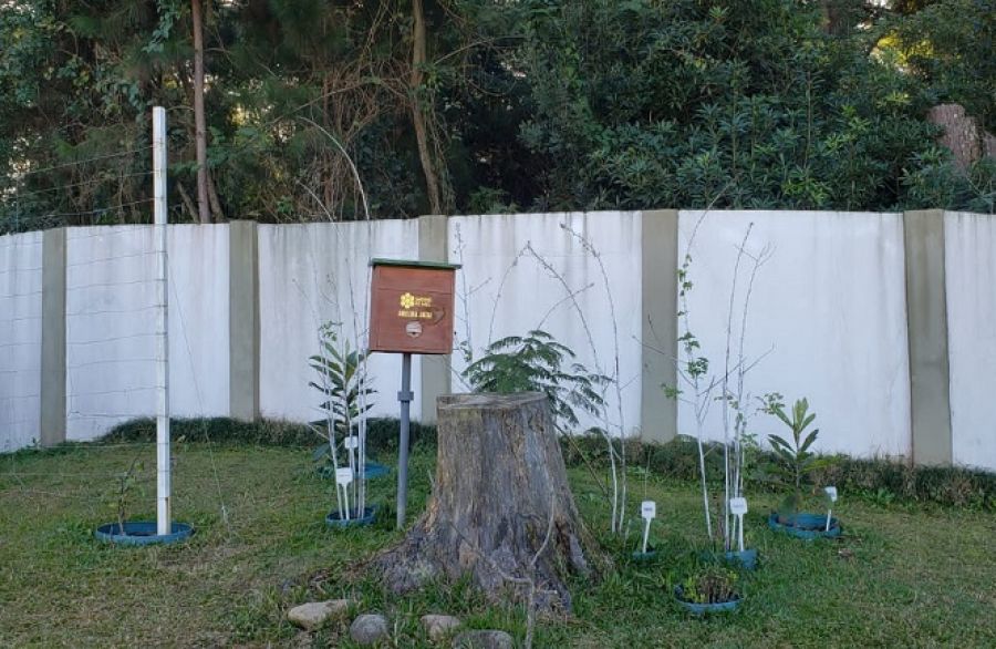 Auditoria de Curitiba apoia o projeto “Jardins de Mel” com criação de abelhas