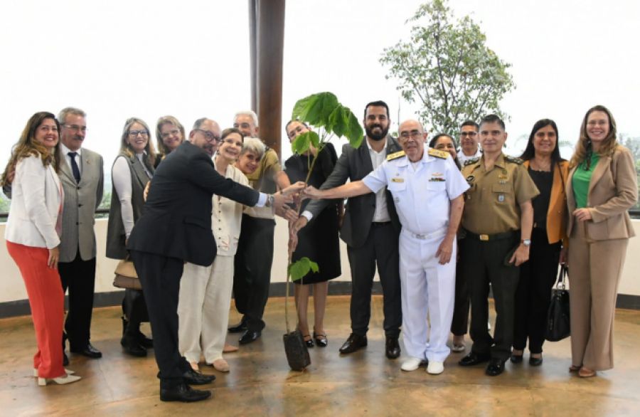 STM e Jardim Botânico de Brasília assinam convênio para ações de reflorestamento