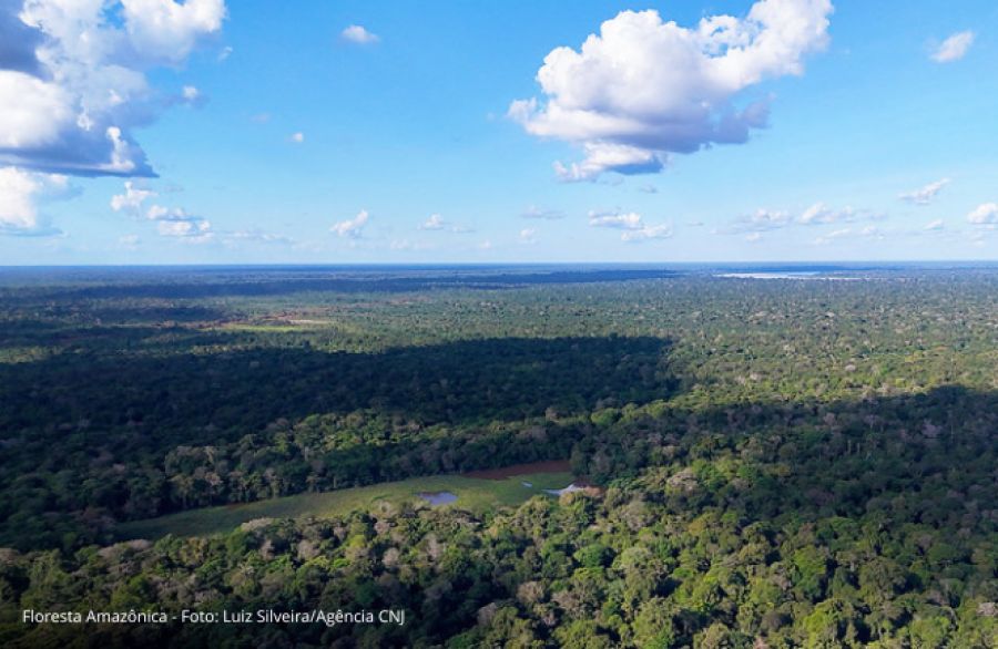 Prêmio Juízo Verde 2025: CNJ reconhecerá boas práticas e desempenho dos tribunais