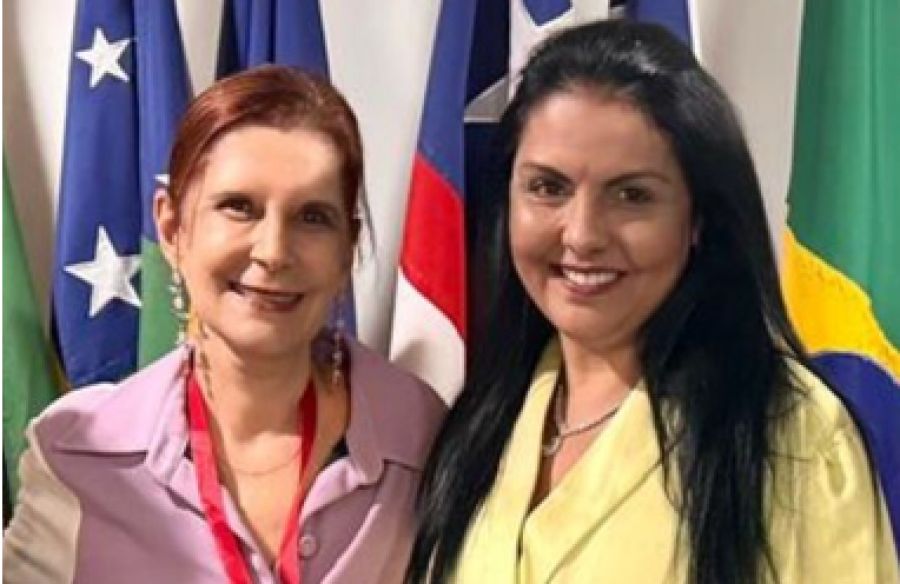 STM participa do 5º Encontro do Colégio de Ouvidorias Judiciais das Mulheres