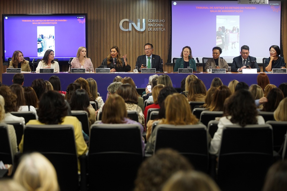 ministra destaca avancos e desafios 2