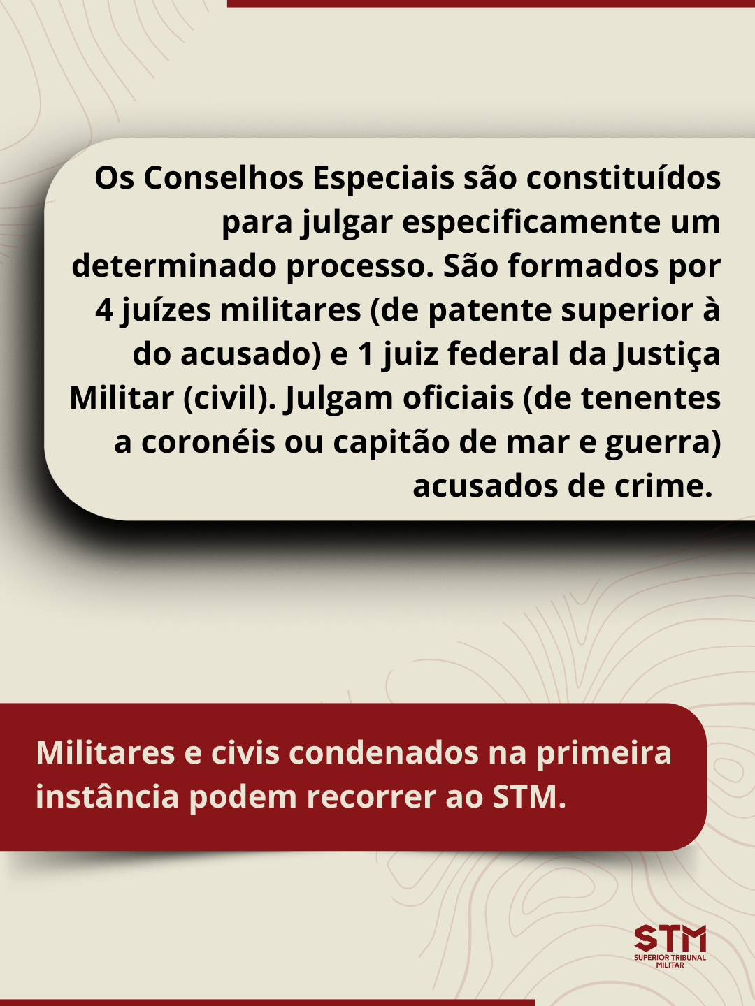 stm 6
